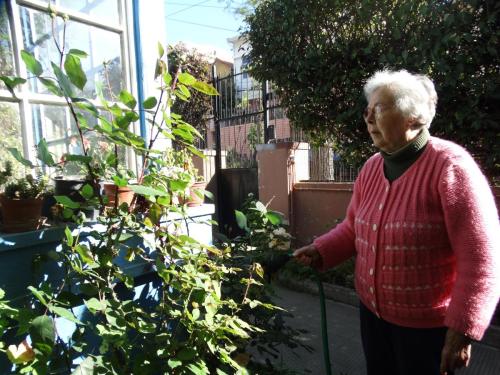 En el mundo de Gilda , mi vecina, mi figura de abuela, mi maestra  del cuidado de las plantas.