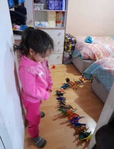 Francisca es autista, esta junto a su fila de Dinosaurios ve conforme su obra. Se vive dia a dia.